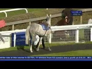Video preview image for Market Rasen 16:50 - Inkermans Novices' Hurdle