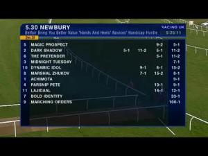 Video preview image for Newbury 17:30 - Betfair Bring You Better Value 'Hands and Heels' Novices' Handicap Hurdle (Conditionals and Amateurs)