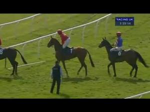 Video preview image for Newbury 13:30 - Ultima's James Cartwright and Neil Thomson Juvenile Handicap Hurdle