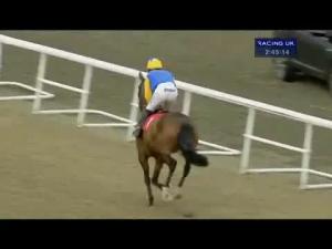 Video preview image for Kempton Park 14:50 - 32red.com Novices' Hurdle