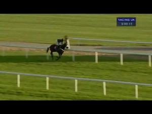 Video preview image for Warwick 17:05 - Warwick Handicap Chase (For The Stephen Allday Perpetual Plate)