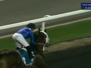 Video preview image for Ludlow 16:30 - Bet At corbettsports.com 'National Hunt' Novices' Handicap Hurdle