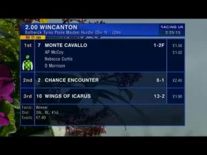 Video preview image for Wincanton 14:30 - Bathwick Tyres Yeovil Handicap Chase