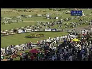 Video preview image for Warwick 15:05 - Racing UK Novices' Hurdle