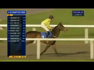 Video preview image for Kempton Park 16:40 - Kempton Park (Supported By Betfair) Fillies' Handicap