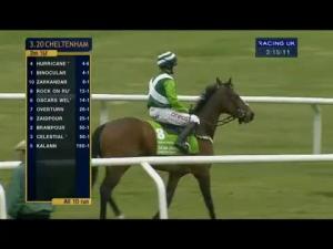 Video preview image for Cheltenham 15:20 - Stan James Champion Hurdle Challenge Trophy (Grade 1)