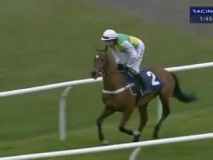 Video preview image for Newbury 13:50 - Floor V Davis Hl1979 Juvenile Hurdle
