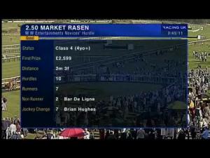 Video preview image for Market Rasen 14:50 - M W Entertainments Novices' Hurdle