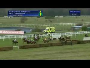 Video preview image for Newbury 14:40 - E.B.F. Ultima Business Solutions Mares' 'National Hunt' Novices' Hurdle Finale (Listed Handicap)