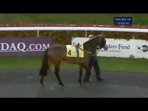 Video preview image for Kempton Park 17:55 - 32redbingo.com Classified Claiming Stakes