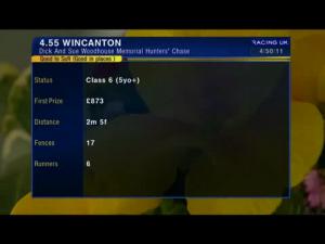 Video preview image for Wincanton 16:55 - Dick and Sue Woodhouse Memorial Hunters' Chase (For The Dick Woodhouse Trophy)
