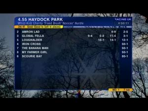 Video preview image for Haydock Park 16:55 - Whizz-Kidz Charity 'Fixed Brush' Novices' Hurdle