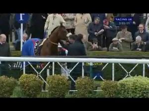 Video preview image for Cheltenham 15:10 - Auriga Network Handicap Hurdle