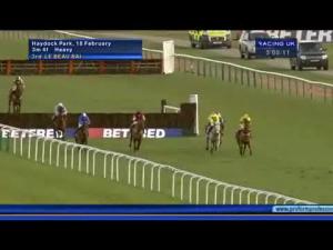 Video preview image for Sandown Park 15:10 - Bet365 Gold Cup Chase (Grade 3 Handicap)