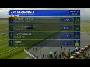 Video preview image for Newmarket 14:25 - equestrianartuk.com Conditions Stakes