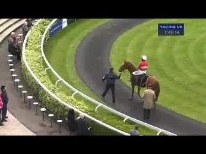 Video preview image for Kempton Park 14:50 - Skyline Solar Triumph Novices' Handicap Chase