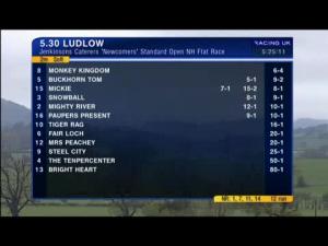 Video preview image for Ludlow 17:30 - Jenkinsons Caterers 'Newcomers' Standard Open NH Flat Race