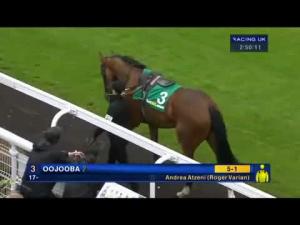 Video preview image for Sandown Park 14:55 - bet365.com Handicap