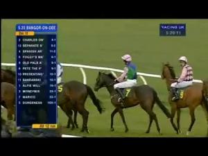 Video preview image for Newbury 17:25 - Dubai Duty Free Millennium Millionaire Handicap