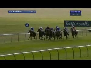 Video preview image for Cheltenham 17:30 - Pony Racing Authority Graduates Handicap Hurdle (Conditional Jockeys and Amateur Riders)