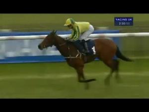 Video preview image for Cheltenham 14:35 - Rundle and Co Handicap Chase