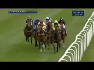 Video preview image for Carlisle 14:50 - Bet Totequadpot Text Tote To 89660 Novices' Chase