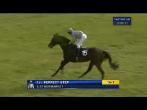 Video preview image for Cheltenham 17:30 - Endsleigh Insurance Mares' Standard Open NH Flat Race