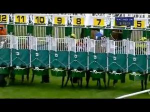 Video preview image for Huntingdon 18:20 - Huntingdon Racecourse Intermediate Open NH Flat Race (Div 2)