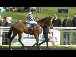 Video preview image for Market Rasen 14:30 - Barbara Parsell Memorial Lady Riders' Selling Handicap Hurdle