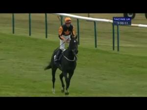 Video preview image for Newmarket 15:35 - Connaught Access Flooring Abernant Stakes (Listed)