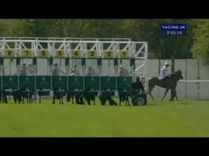 Video preview image for Ayr 14:50 - Isle Of Skye Blended Whisky Scottish Champion Hurdle (Grade 2 Limited Handicap)