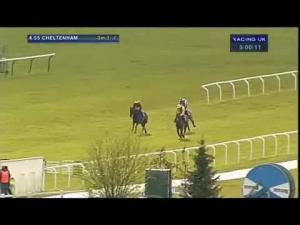 Video preview image for Beverley 17:05 - Whistlejackets Real Ale Bar Handicap