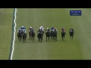 Video preview image for Cheltenham 16:20 - Citipost Novices' Handicap Hurdle