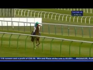 Video preview image for Newmarket 16:45 - Blue Square Feilden Stakes (Listed)