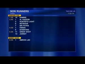 Video preview image for Sandown Park 13:30 - Bet365 Josh Gifford Juvenile Handicap Hurdle