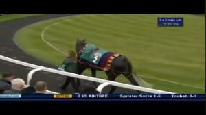 Video preview image for Aintree 14:15 - John Smith's Maghull Novices' Chase (Grade 1)