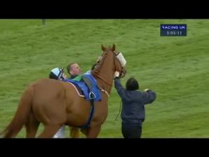 Video preview image for Nottingham 17:10 - Betfred Mobile Casino Handicap