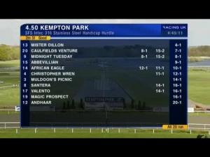 Video preview image for Kempton Park 16:50 - Sfs Intec 316 Stainless Steel Handicap Hurdle