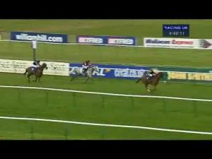 Video preview image for Bangor-On-Dee 16:45 - Bangorbet Yankee Handicap Hurdle