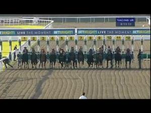 Video preview image for Kempton Park 18:10 - Digipos Partner/British Stallion Studs EBF Maiden Fillies' Stakes
