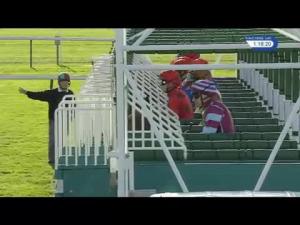 Video preview image for Newmarket 13:15 - Rewards4racing Fillies' Novice Median Auction Stakes (5) (Div 1)