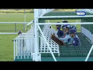 Video preview image for Newmarket 13:45 - Rewards4racing Fillies' Novice Median Auction Stakes (5) (Div 2)