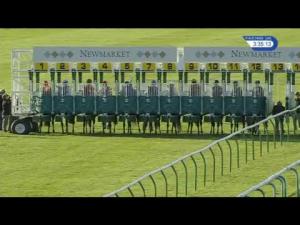 Video preview image for Newmarket 15:30 - Ar Legal Fillies' Handicap (2)