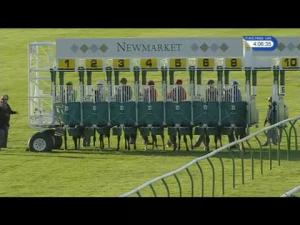Video preview image for Newmarket 16:05 - British EBF Racing UK Novice Stakes (Sire/Dam-restricted) (4)