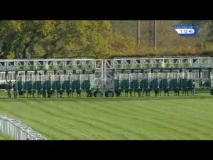 Video preview image for Newbury 13:10 - Join Hot To Trot For 2018 Novice Stakes (4) (Div 1)