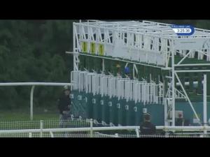 Video preview image for Newbury 15:25 - British Stallion Studs EBF Conditions Stakes (2)