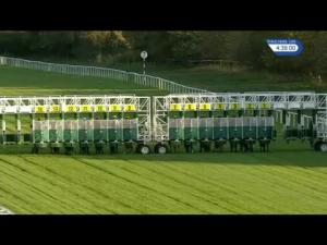 Video preview image for Newbury 16:35 - Thatcham Butchers Handicap (3)