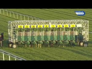 Video preview image for Newbury 17:10 - Rayner Bosch Car Service 'Hands and Heels' Apprentice Handicap (5)
