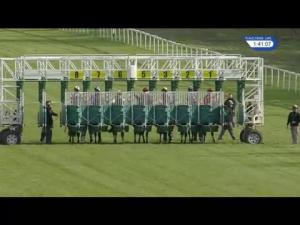 Video preview image for Newbury 13:40 - Sir Gerald Whent Memorial Nursery Handicap (3)