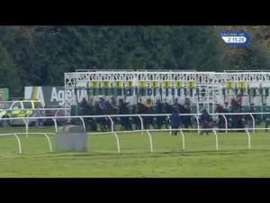 Video preview image for Newbury 14:15 - Worthington's "Indigo Leisure" Stakes (St Simon) (Group 3) (1)